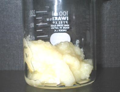 1% - Iodine number Min 56 - Quantity of application 5 mg 5 mg RBD palm olein at 30ºC RBD palm olein at 15ºC Figure 3: Pictures of RBD palm olein at 30ºC and 15ºC.