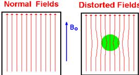 external magnetic field in their vicinity (Figure 2.5); paramagnetic metals such as titanium concentrate the magnetic field lines in their vicinity. Figure 2.