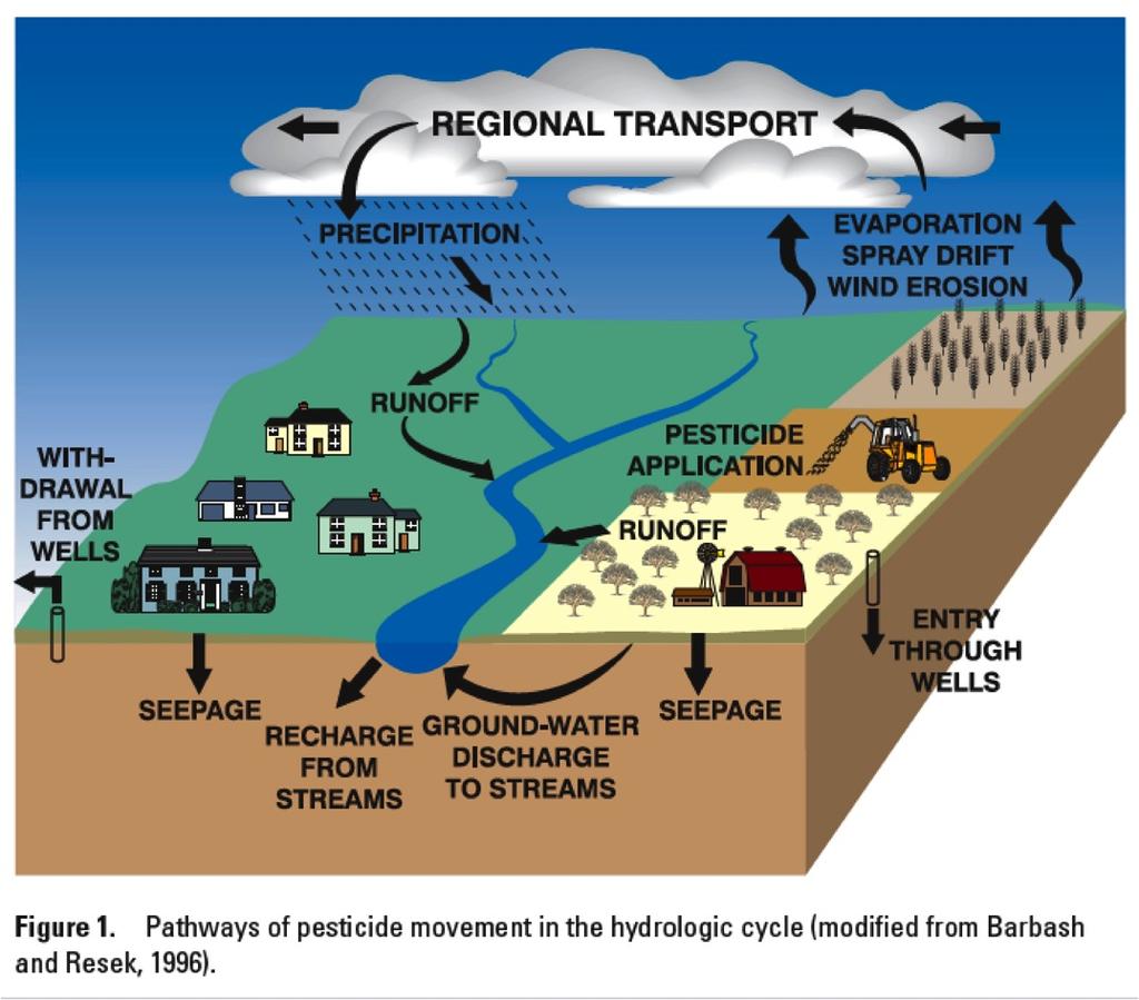 Pesticide Movement in the Environment The Source is Often Hard to Trace Multiple Routes of Entry Non- Point