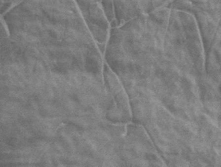resulting composite. nanofibers and nanospaces between nanofibers were clearly observed.