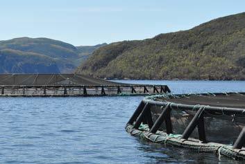 potential federal and provincial investments. Support: FLR, TCII Update site marking requirements to reflect vessel size and site parameters. Review provincial fees for the aquaculture industry.