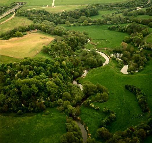 Bollin valley woodlands before the construction of Runway 2 Two areas of ancient woodland