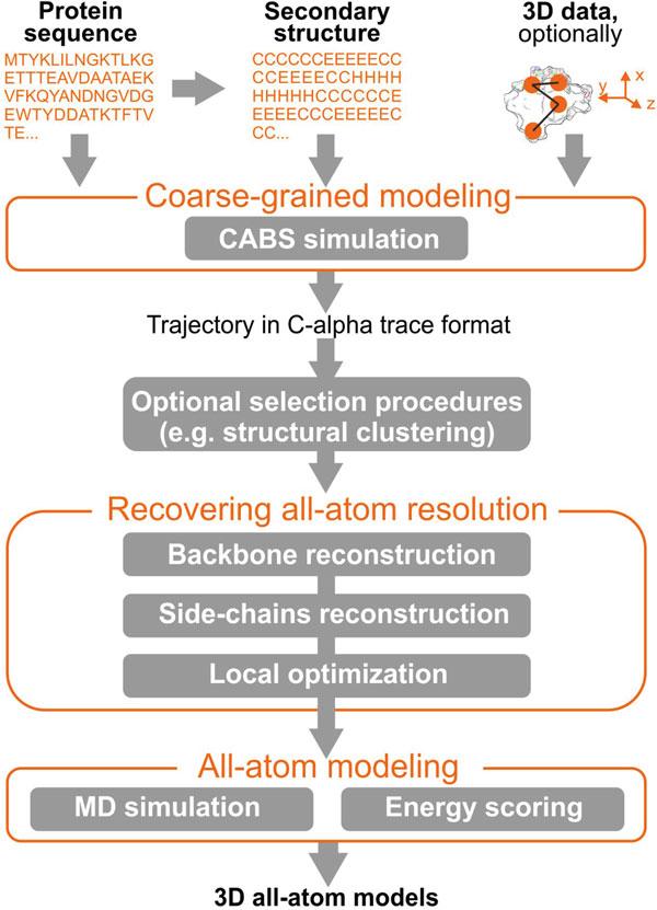 92 Fig. 3 Typical stages of the multiscale modeling scheme utilizing the CABS model.