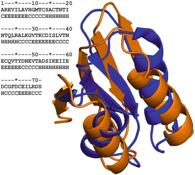 One-Dimensional Structural Properties of Proteins in the Coarse-Grained CABS Model 97 Fig. 5 Example CABS-fold structure prediction result.