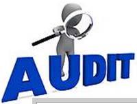 Audit Facilitation Tips Don t wait until FDA at your Door to prepare Audit Ready All the Time Defined Audit Team and Procedure Prepared and printed Opening presentation Facility Overview with