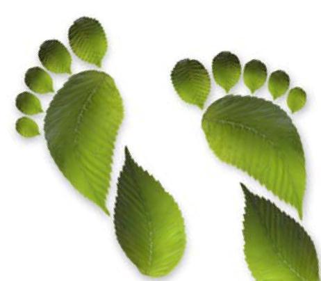 Carbon Footprint Measure of environment
