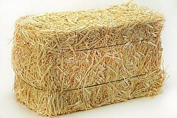 Packaging and Distribution Bales Most forage is typically harvested from the field and to ration for horses kept in stalls while a large round bale can compressed into bales, either round or