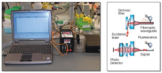 Rapid Detection of Bacterial Contaminants Using Electronic Nose Biosensors - The electronic
