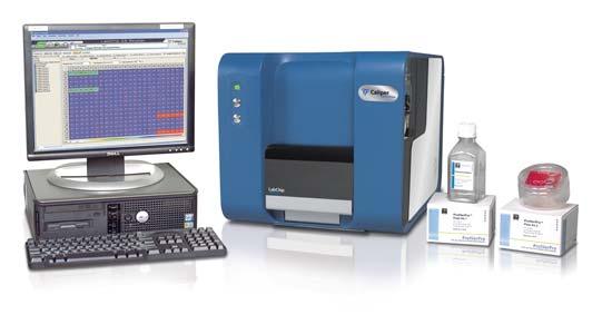 The ability to make real time observations provides benefits in assay development as well.