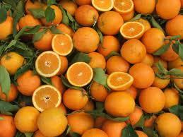 Citrus Cull Usage Use of culls from packinghouses and