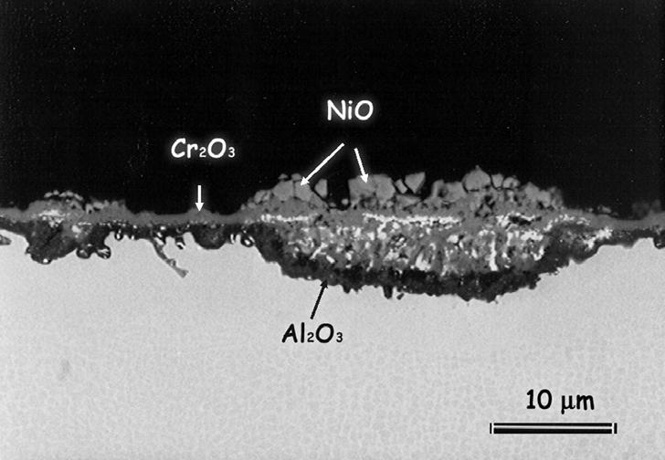 N5 being the thinnest. Figure 7. SEM micrograph of N5 after cyclic oxidation at 1 C in wet air for 25 cycles.
