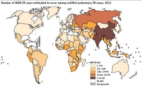 Estimated number of MDR-TB Cases, 2012* ~ 2/3 third of