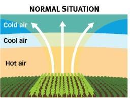 treated area During temperature inversion,