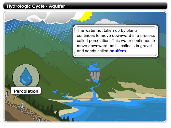 Hydrologic Cycle - Aquifer The water not taken up by plants continues to move downward in a process called percolation.