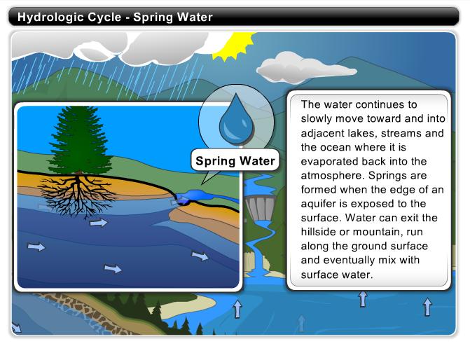 Hydrologic Cycle Spring Water The water continues to slowly move toward and into adjacent lakes, streams and the ocean where it is evaporated back into the atmosphere.