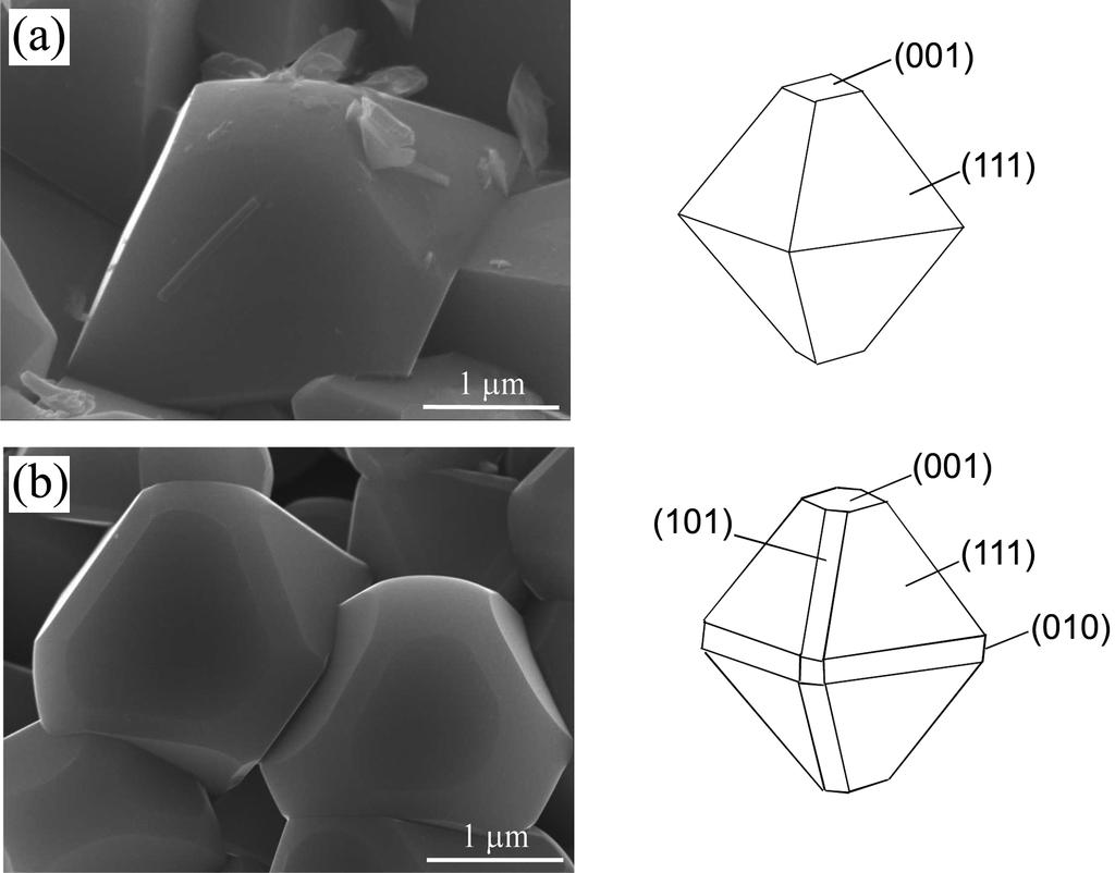 386 Bull. Korean Chem. Soc. 2013, Vol. 34, No. 2 Cao Cuong Nguyen et al. Figure 3. SEM images for primary particles of (a) U1 and (b) D1 active materials, and the schematics of their crystal shape.