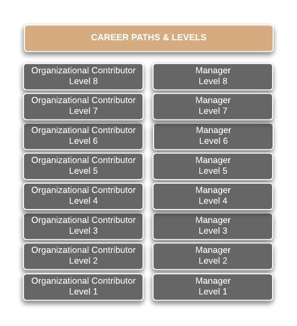 CAREER PATHS: LEVELS AND LEVEL DESCRIPTIONS Organizational Contributor or Manager Path Eight possible levels Most title series will utilize only 3 to 5 levels Some may