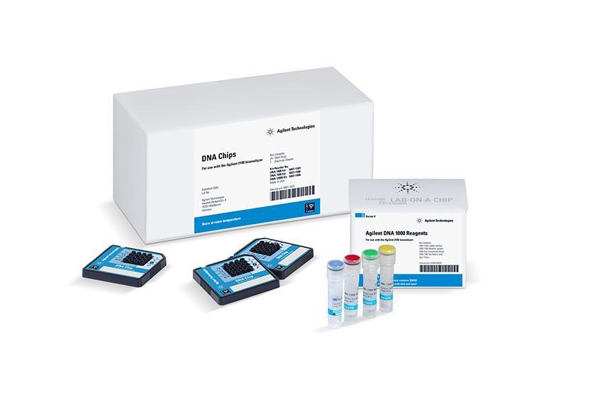 By increasing the sensitivity of the Bioanalyzer DNA Assays: Low concentrated samples can be quantified and sized.