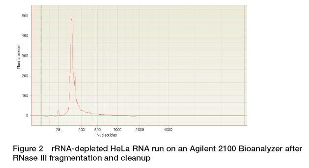 isolation using an Agilent Technologies 2100 Bioanalyzer with an RNA