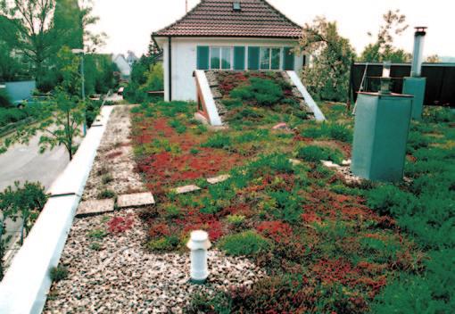 Examples Green Roof Table 5: Required thickness of layers and distributed loads for various types of vegetation Vegetation type Thickness of vegetation layer in cm Total thickness of green roof
