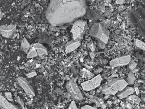 498j 14 Ash-Forming Matter and Ash-Related Problems Figure 14.8 SEM picture of eucalyptus bark ashed at 500 C, revealing calcium oxalate crystals in the fuel matrix. Figure 14.9 Eucalyptus bark ashed at 900 C; close up of calcium oxalate crystals decomposed into calcium oxide.