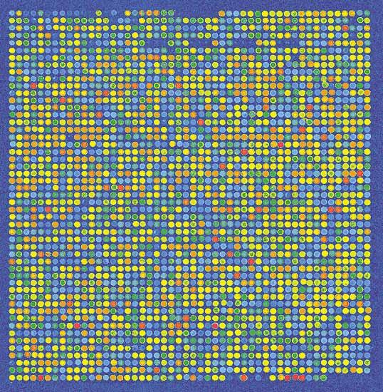 chip DNA microarray