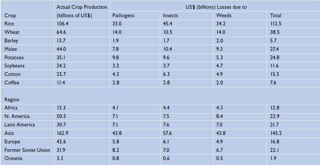 Global production of eight major crops and estimated losses by crop