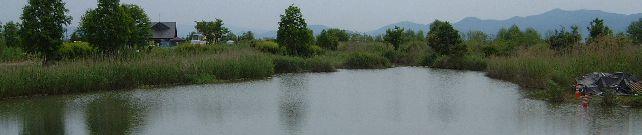Lake Biwa type test pond Depth :