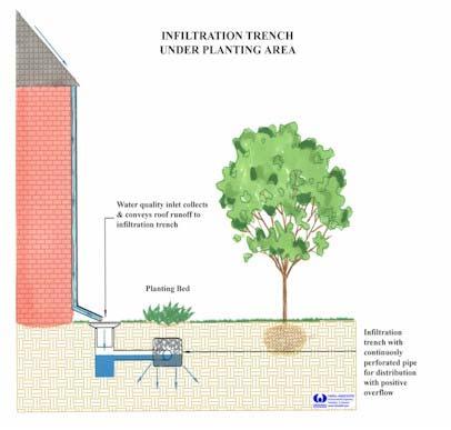 Infiltration Trenches also may be located alongside or adjacent to roadways or impervious paved areas with proper design.