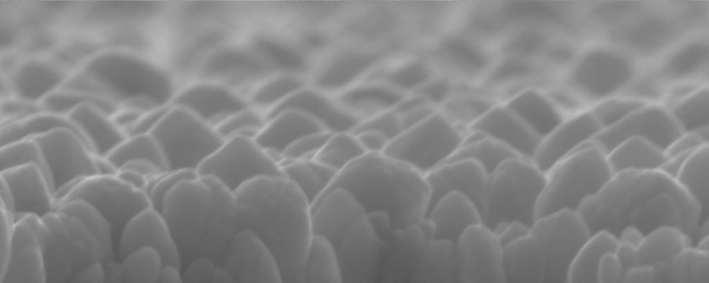 RESULTS AND DISCUSSION Scanning Electron Microscopy (SEM) was used to study the morphology of our multifunctional composite (Pt/Teflon) nanostructures.