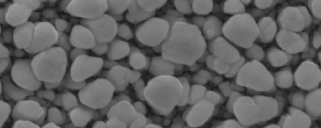 Based on SEM images analysis, it was found that GLAD technique was able to deposit Teflon selectively on the tips of Pt nanorods, which results in isolated arrays of