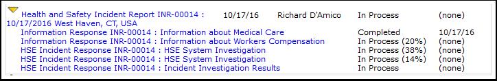 Information about Workers Compensation (Response) - Optional 4. HSE System Investigation (Response) 5.