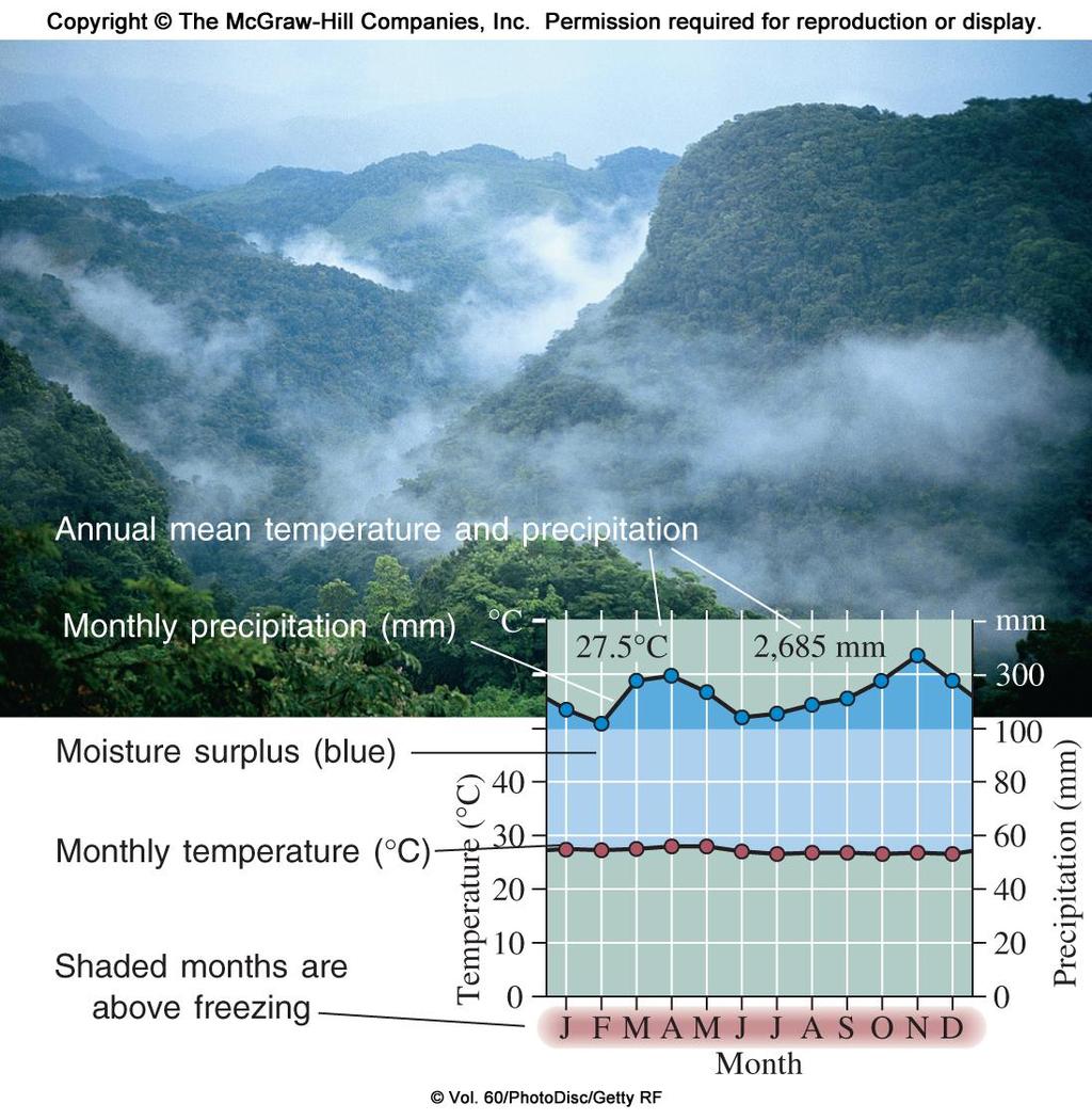 Tropical Rainforests Tropical rainforests occur where rainfall is abundant more