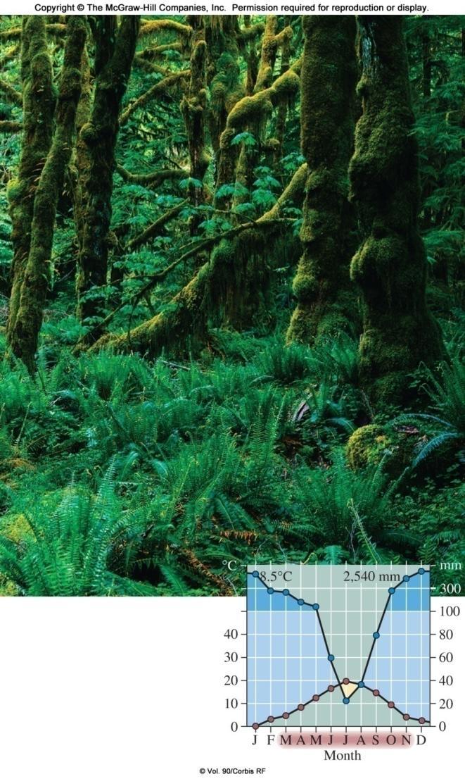 Temperate Rainforests The coniferous forests of the