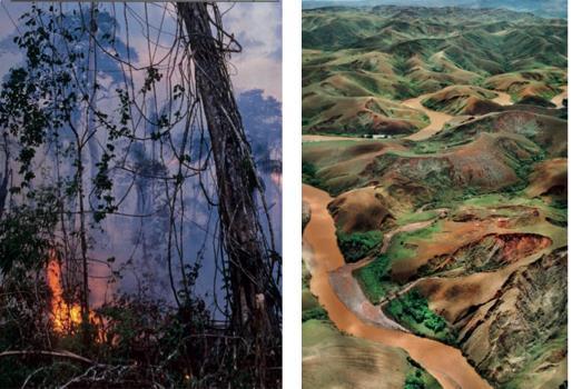 Human Impacts: Pollution Terrestrial ecosystems are threatened by deforestation Single greatest problem is deforestation by cutting or burning An example is rainforest