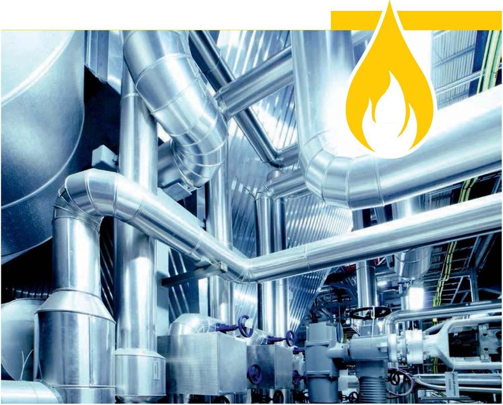 LIQUEFIED NATURAL GAS- SUPPLY PLANTS ECONOMIC