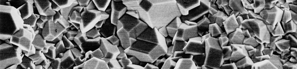 microns thick 10 µm An SEM micrograph of the