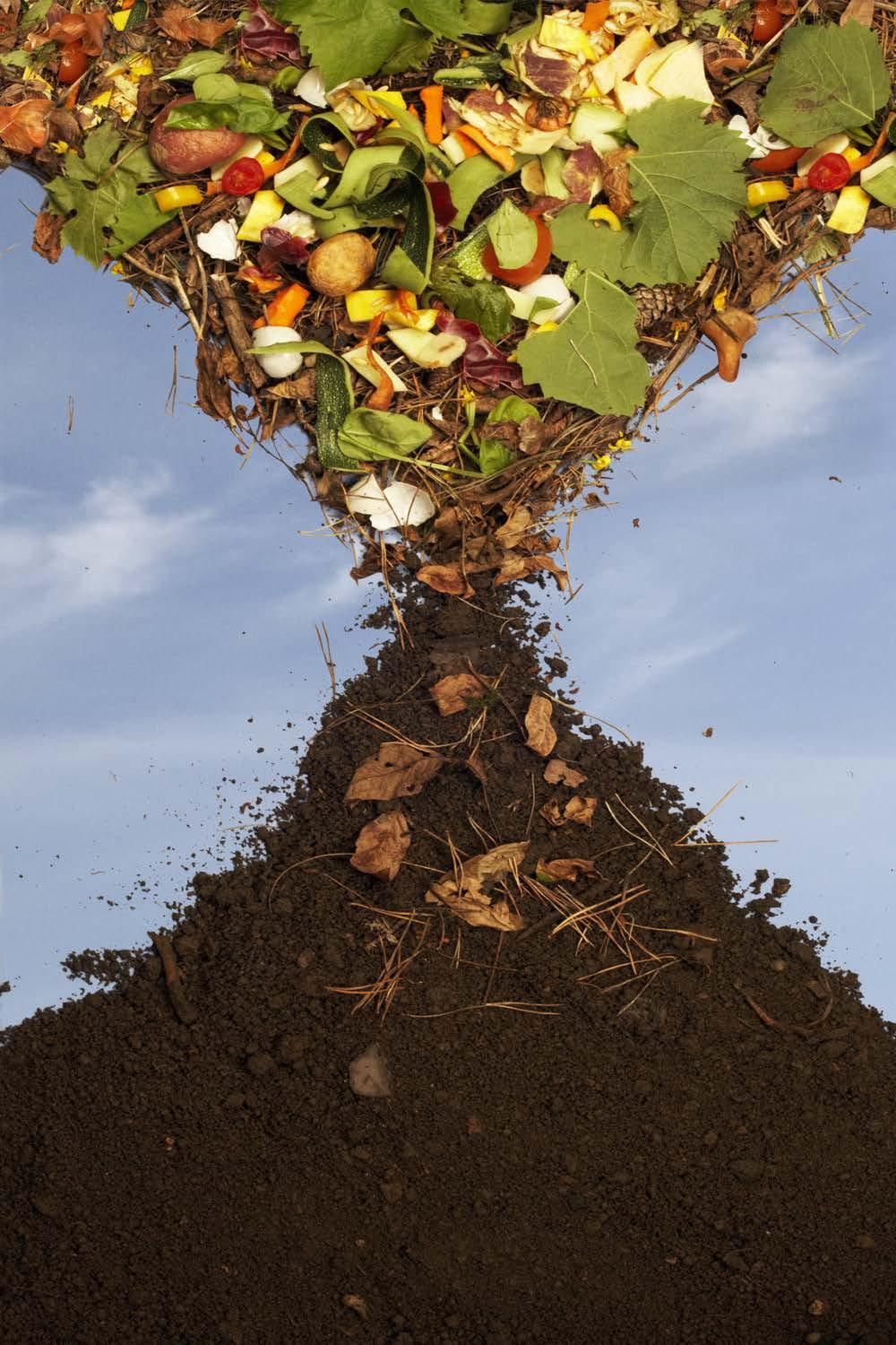 RETURNING NUTRIENTS TO THE SOIL Compost can make all the difference in your growing needs.