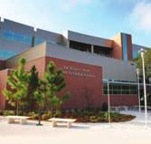 SCHOOL OF GLOBAL SUSTAINABILITY University of South Florida