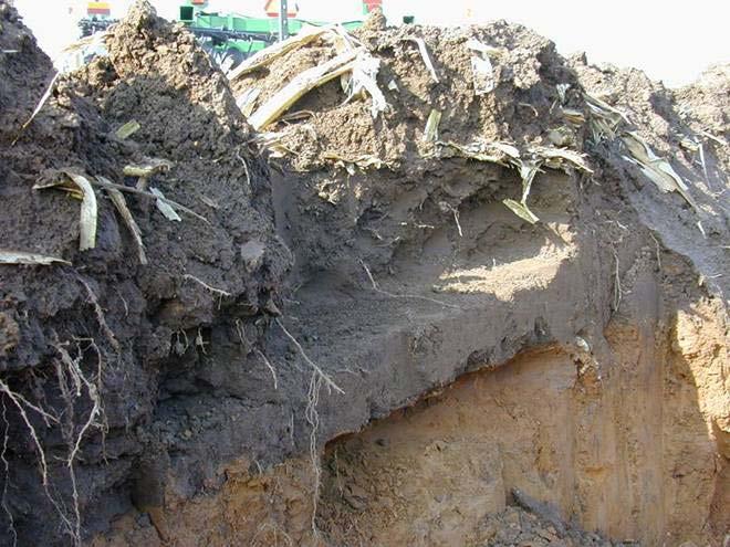 TILLAGE AFFECTS SOIL PROPERTIES RELATED TO SOIL