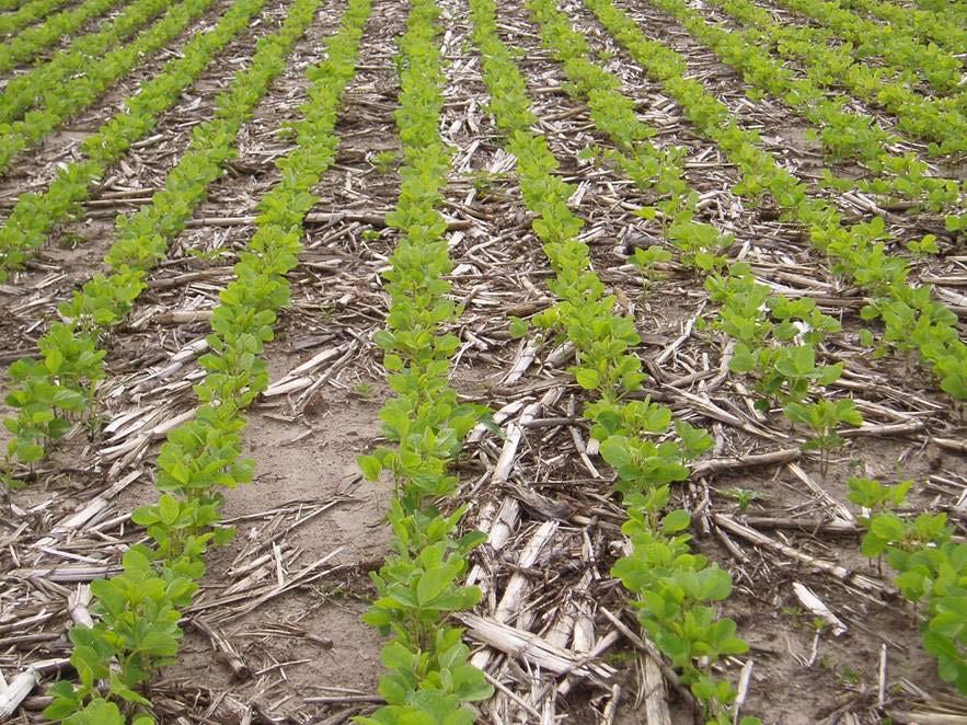 SURFACE CROP RESIDUE INTERACTS WITH OTHER FACTORS Erosion Soil