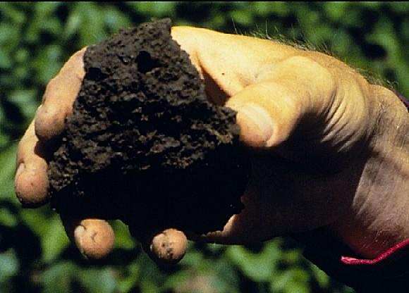 Soil Organic Matter - A