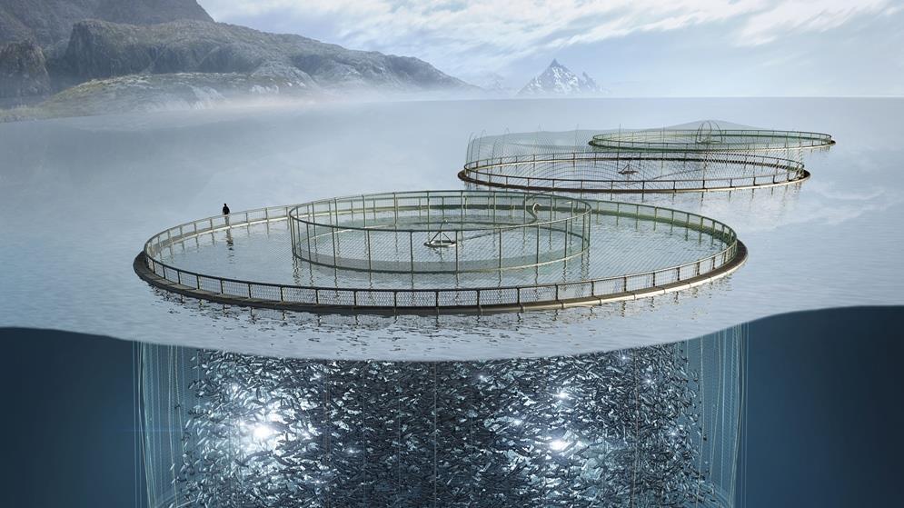 Space available for salmon in salmon farms is more then even most free range or biological terrestrial farmed animals In salmon farming the environment is three dimensional so it is hard to compare