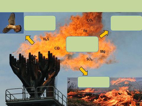 FLARE ELIMINATION Environment Impact Harmful to plants and animals