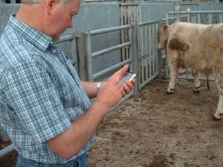 New on-farm beef recording service. Past approach; Within-breed. % useful data?
