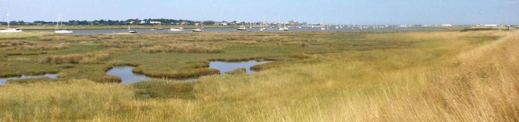 Habitat features Saltmarsh It is likely that inter-tidal areas in front of flood defences will be within a protected area, SSSI, SAC, SPA or Ramsar site (see below for definition).