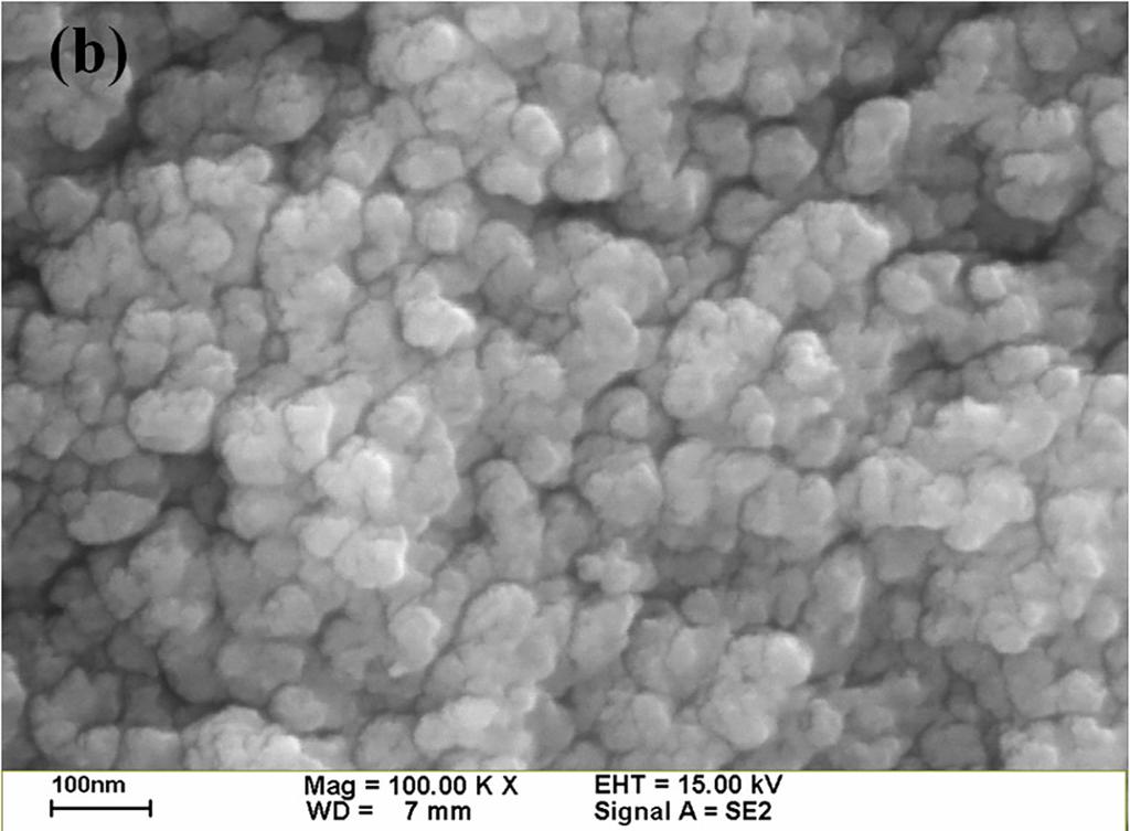 Results Figure 1(a) shows the surface morphology of the Cu plate after oxidation at 200 C in air for 10 minutes; fine oxide particles are observed on the surface.