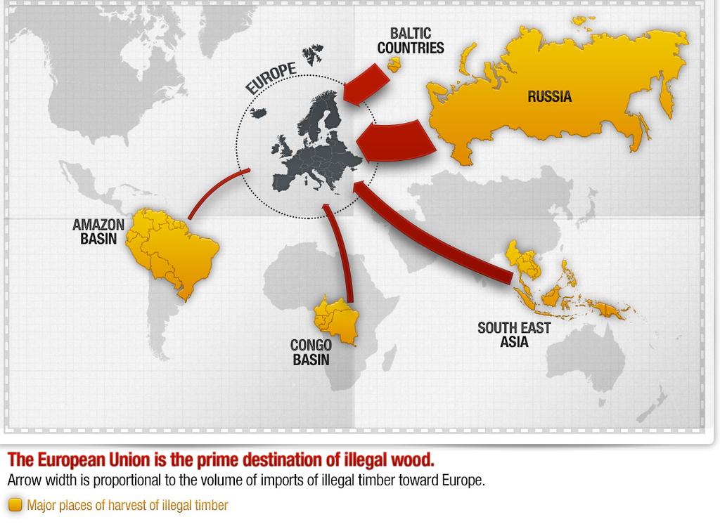 Global Illegal Timber Exports The European