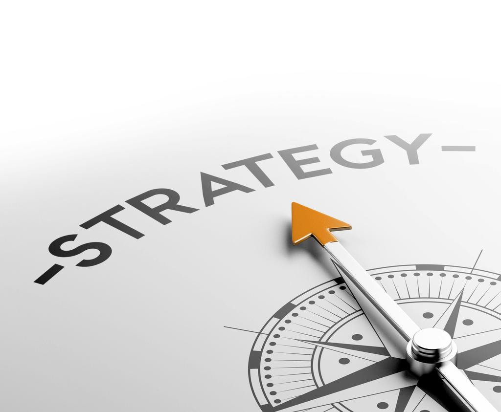 1 The Strategic Plan Planning starts at the top with The Strategic Plan which is typically extracted from the overall business plan.