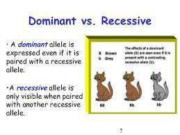 Recessive: Only expressed if